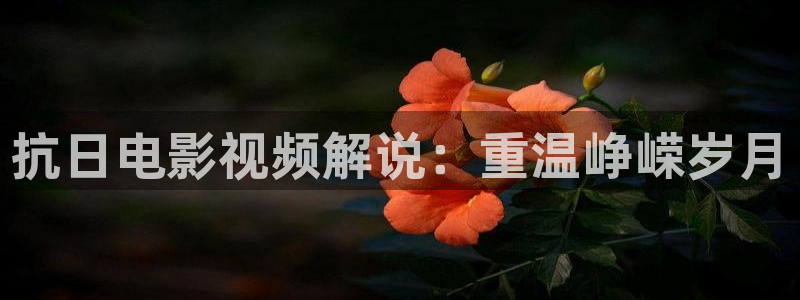 午夜se电影