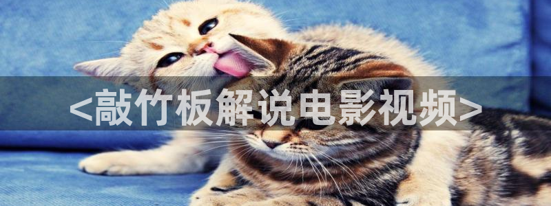 飘花午夜理论