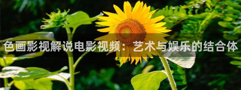 快喵影院亚洲午夜版