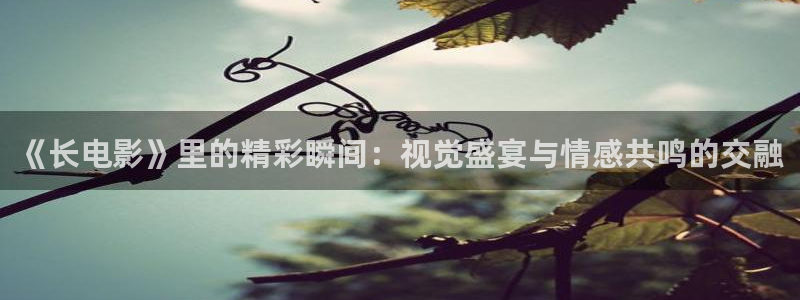成人在线午夜电影
