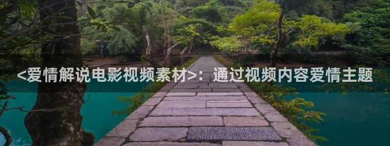 2018欧美午夜免费观看