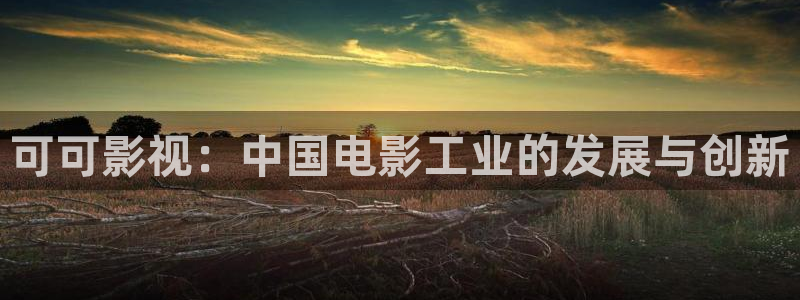 星辰午夜影院