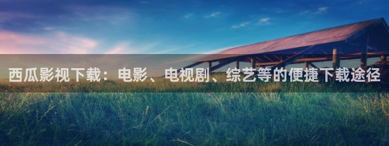 国产午夜在线观看免费
