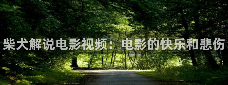 神马电影午夜久久