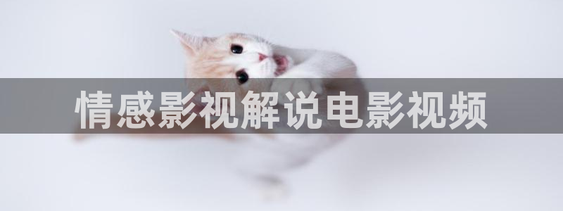 电影通午夜神马