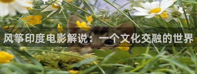 午夜草莓