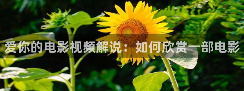 国产精品露脸在线午夜