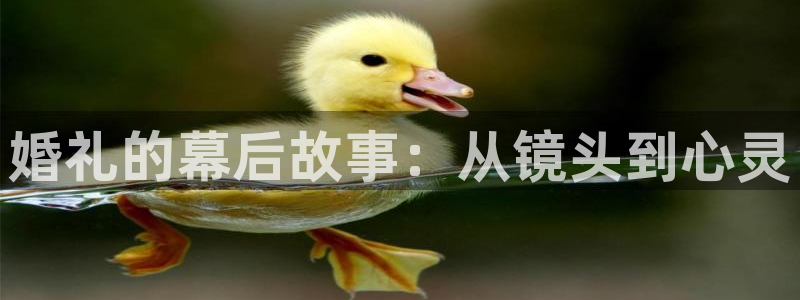 男人午夜看片