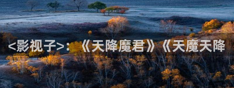 午夜伦理福利电影网