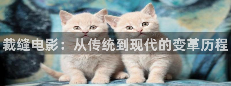 4480yy私人影院午夜片成人