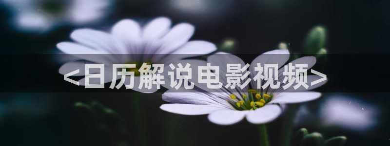 午夜毛片免费在线