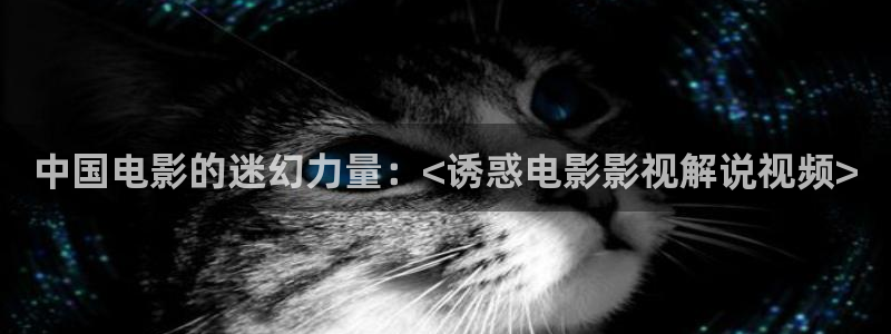 成年人午夜免费影院