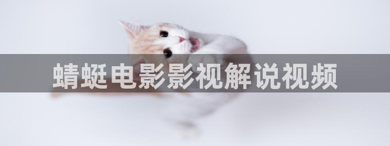 91麻豆影院在线观看午夜
