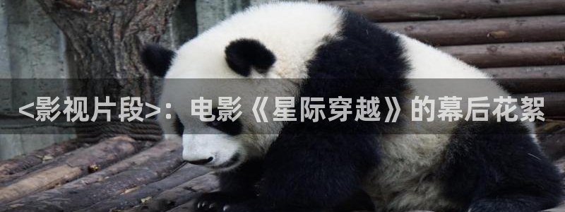欧美午夜不卡电影院