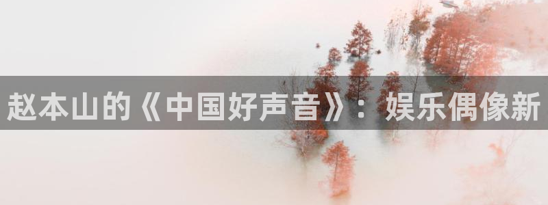 成人午夜影院在线观看