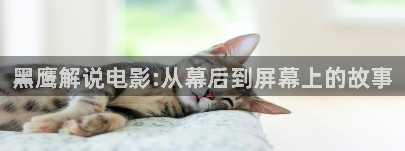 116美女午夜电影