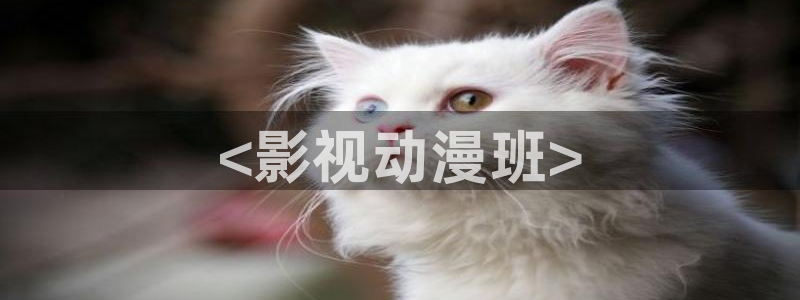 午夜荡片