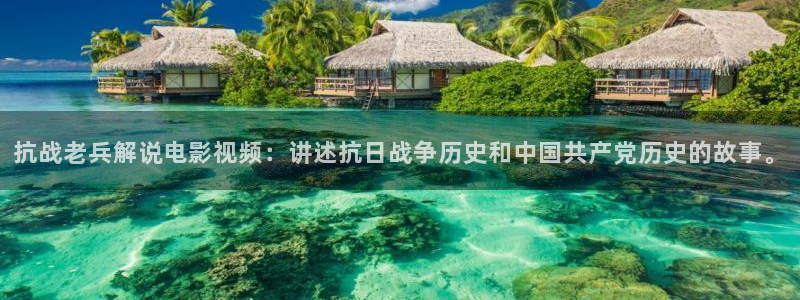 神马午夜麻豆影视