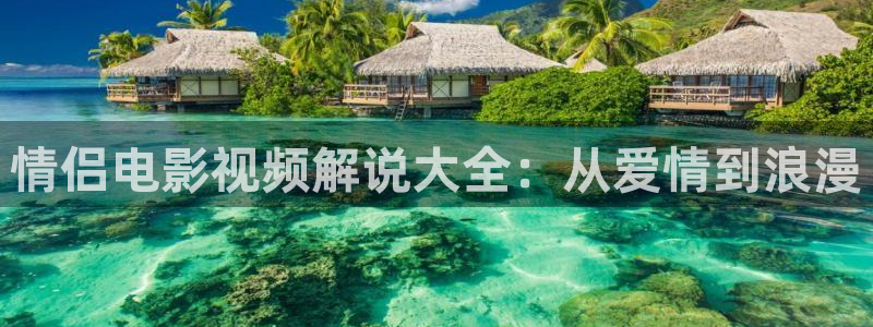 91影视午夜