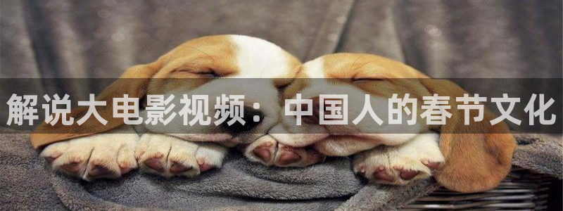 国产精品_第1页_午夜影院网站