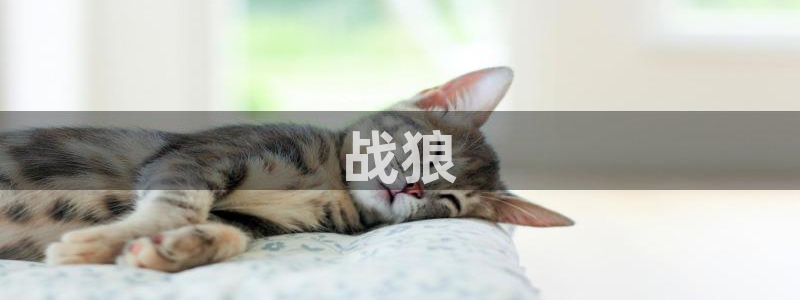 q2002午夜电影