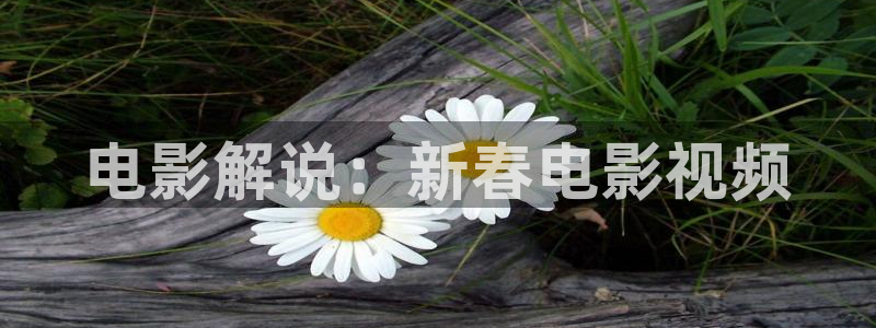 新闻图片